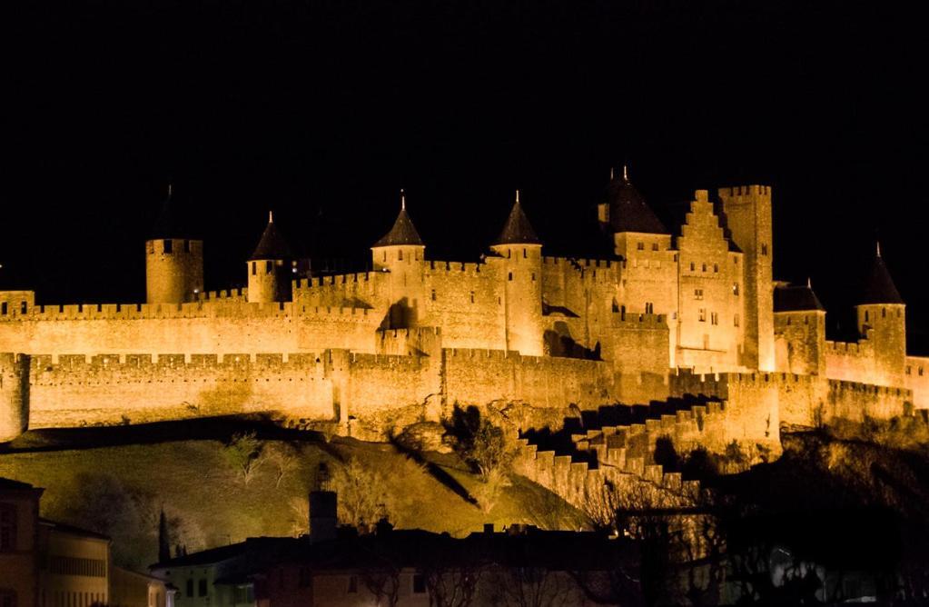 Rooftop Standing Place Carnot Carcassonne Exteriör bild